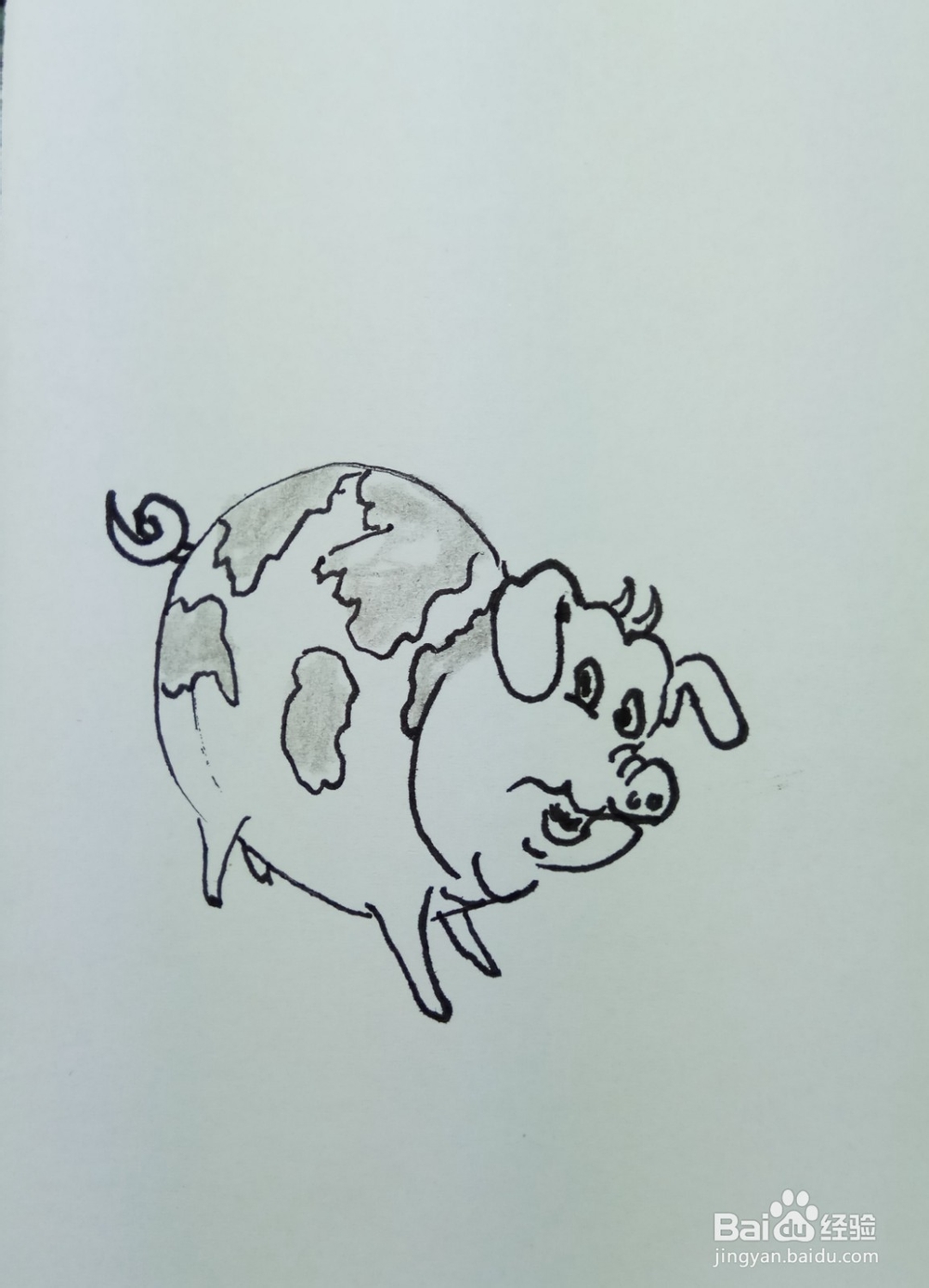 怎样画简笔画“花胖猪”？