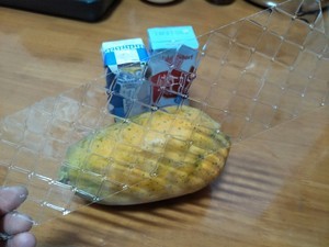 木瓜奶冻的做法