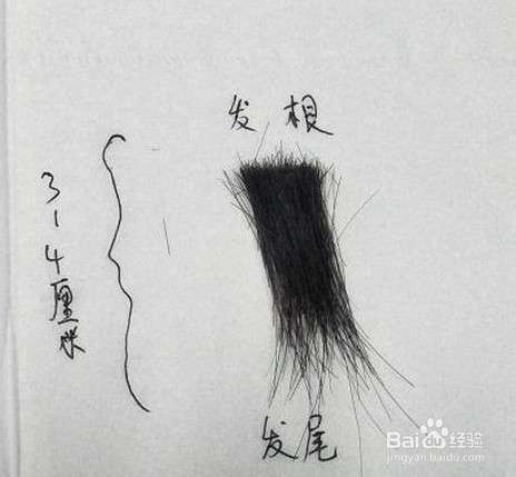 毛发毒品检测仪在检测毛发前要注意什么?