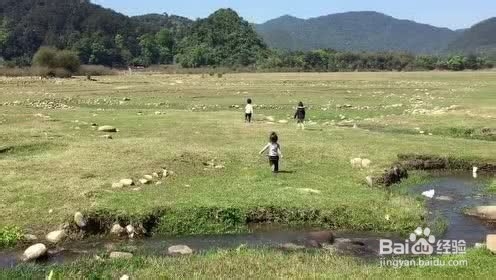 罗坑大草原攻略