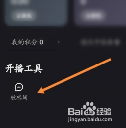 快手直播伴侣敏感词怎么设置