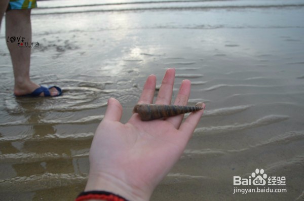 带你玩转海陵岛,看遍美食美景与美人