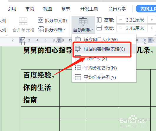 word设置表格列宽
