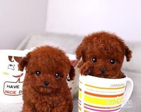 眼部都有哪些用药方式,该怎样用药