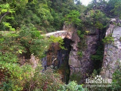 驻马店到张家界自驾游