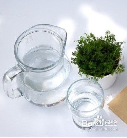 怎么样喝酒才能避免伤身?