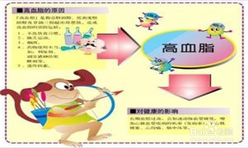 高脂饮食与动脉粥样硬化