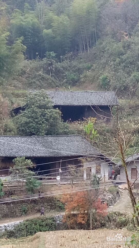 田云青老师旅游景观册编辑方法