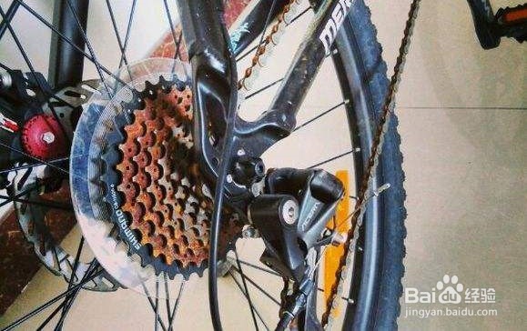 怎样清洗自行车链条?