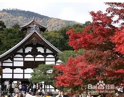单身女孩去日本旅游攻略