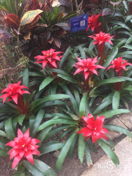 重庆三日游攻略,请不要错过舌尖上的重庆