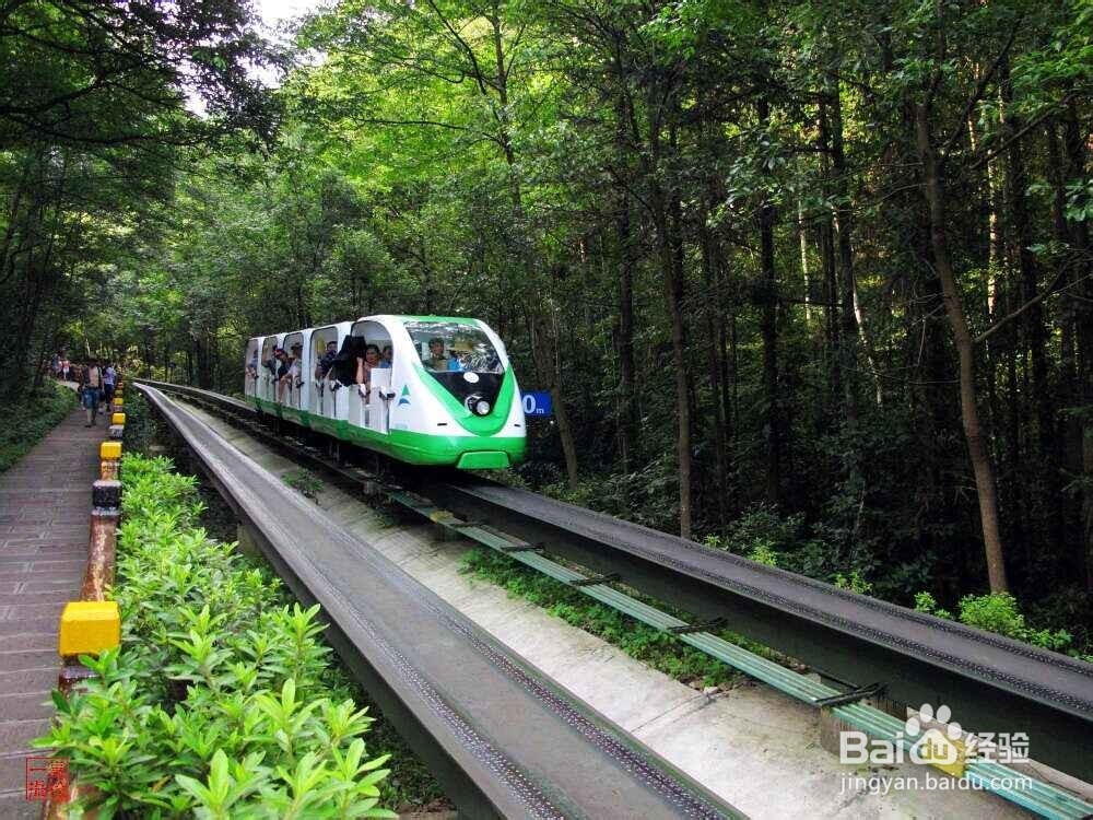 三明到张家界自驾游