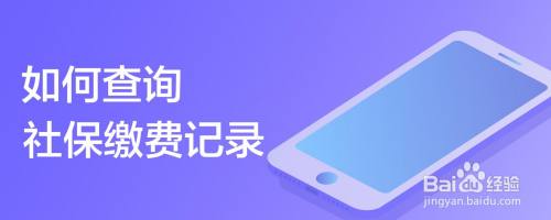 如何查询社保缴费记录