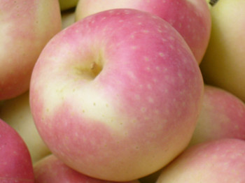 秋季用什么面膜可以给肌肤补水改善干燥皮肤