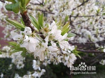 想在短期内找到薪水翻番的工作,应该准备什么