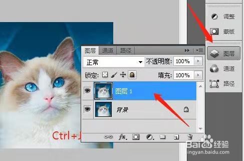 用PS制作动态猫咪表情包