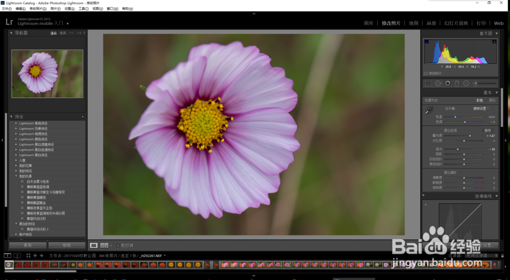 尼康d5相机照片发蓝怎么处理?