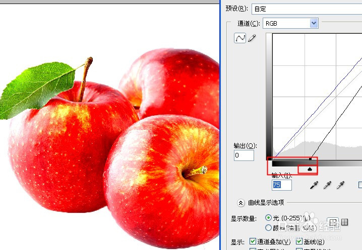 (PhotoShop)PS快速处理一张白底图