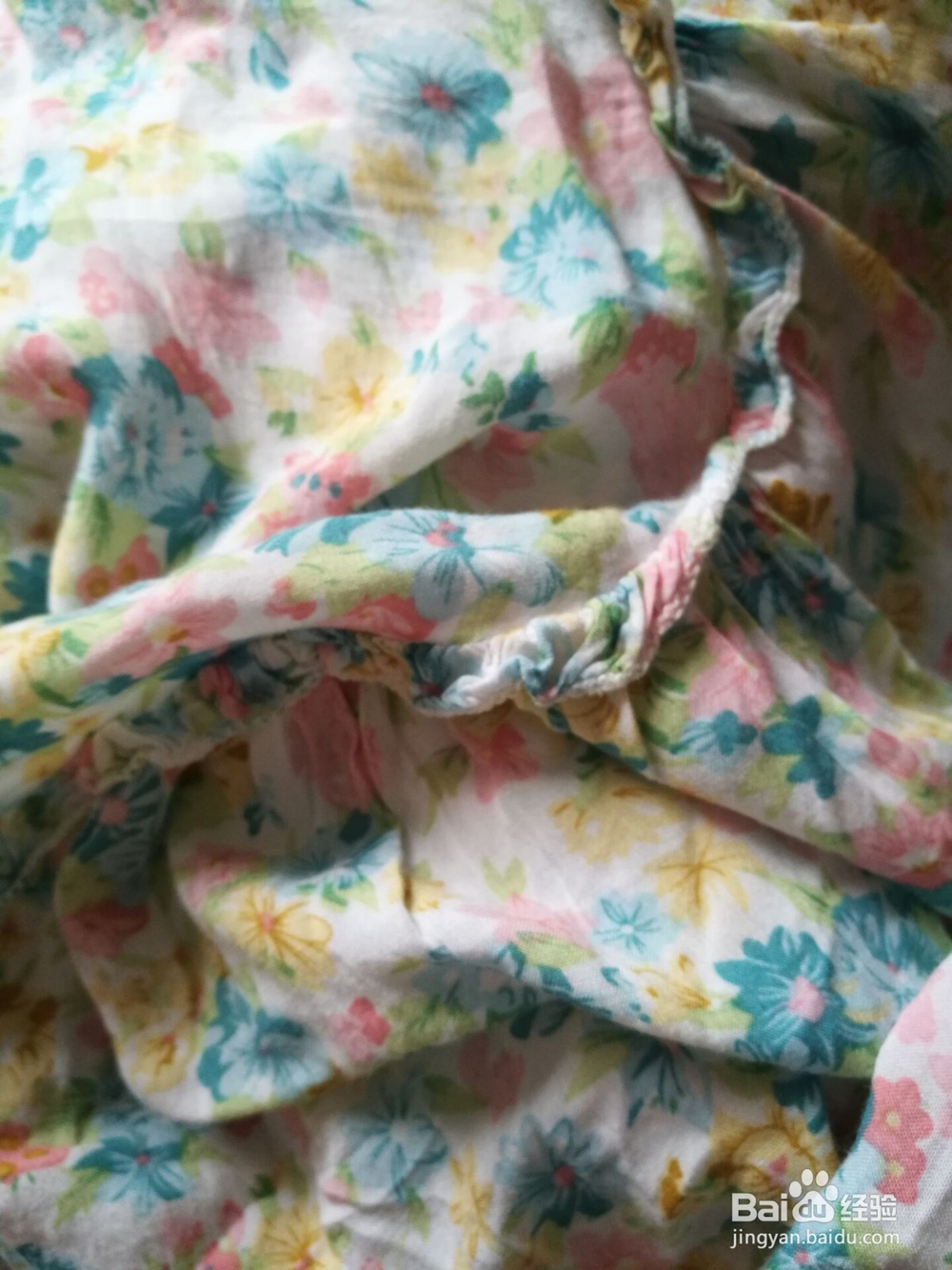 怎样不花钱打造泰迪狗的日常生活?