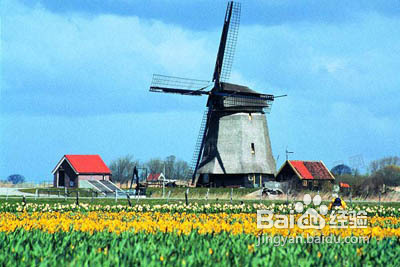 荷兰旅游,哪些景点必须去?