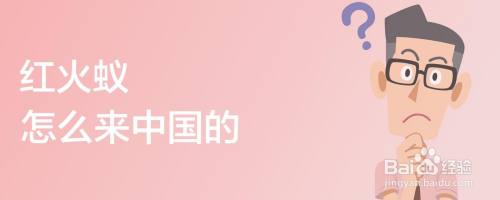 红火蚁怎么来中国的