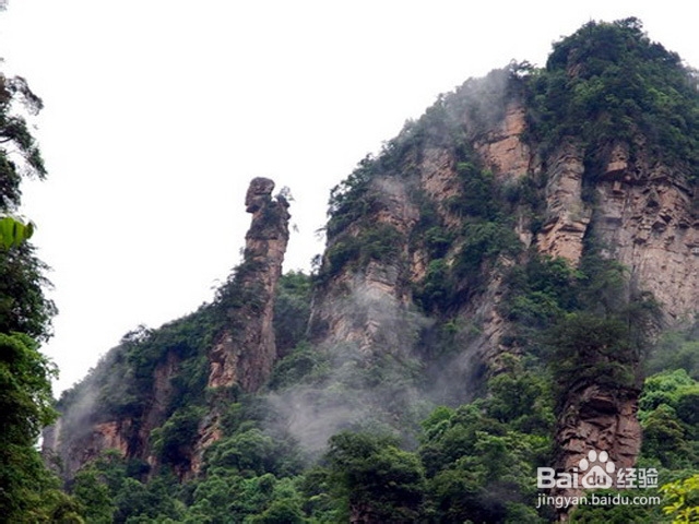 重庆到张家界自助游旅游攻略