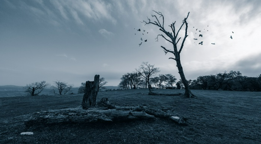 几树萧条远见天,一溪寒冷自生烟当什么讲