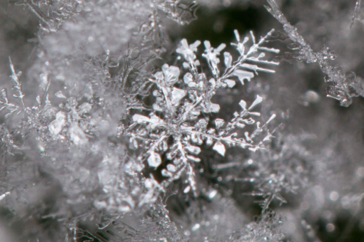 frostpunk content是什么