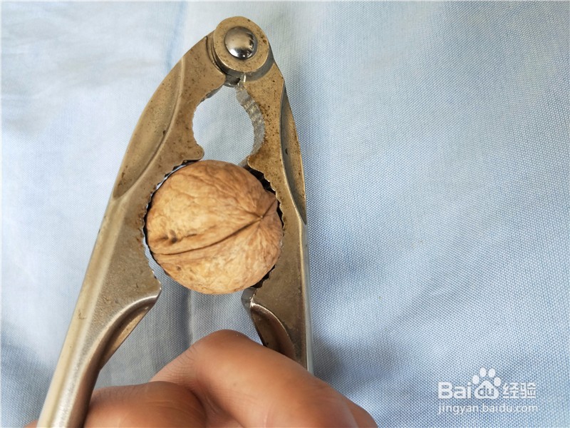 核桃钳子如何轻松快速的打开核桃