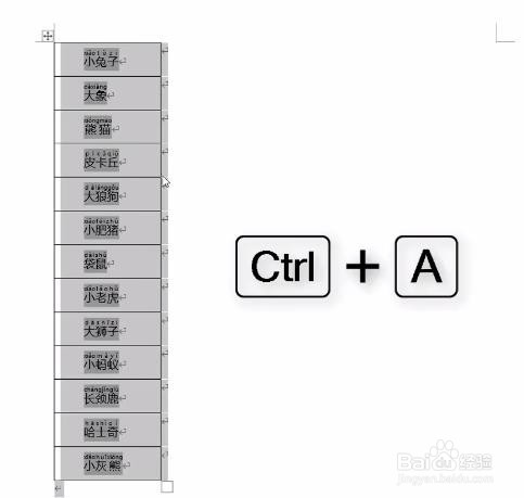 EXCEL如何给姓名或文字添加拼音