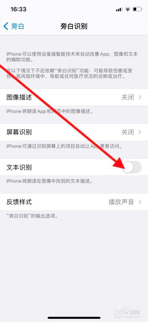 iPhone11pro手机旁白文本识别在哪开启