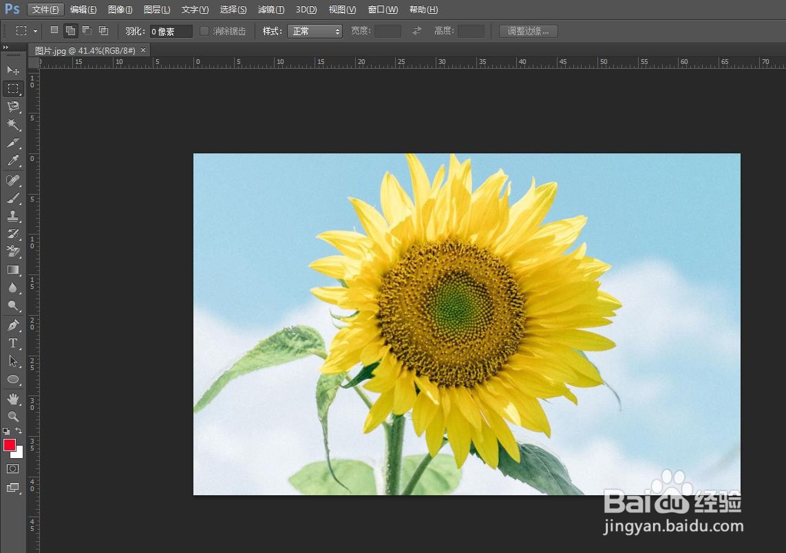 如何放大ps中的图片