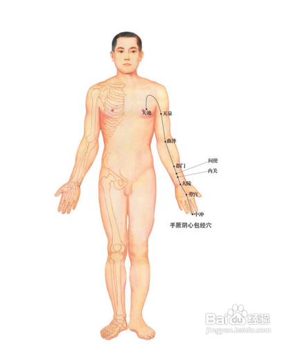 中医经络知识之手厥阴心包经图解