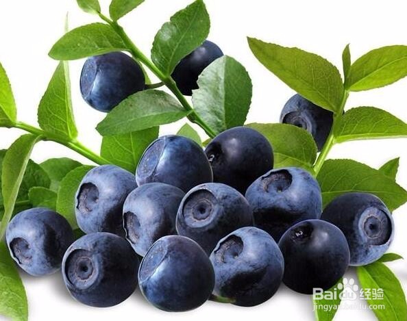 《科普知识》花青素的功效与作用