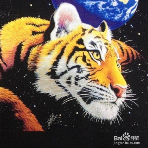 3d個性T恤打印機