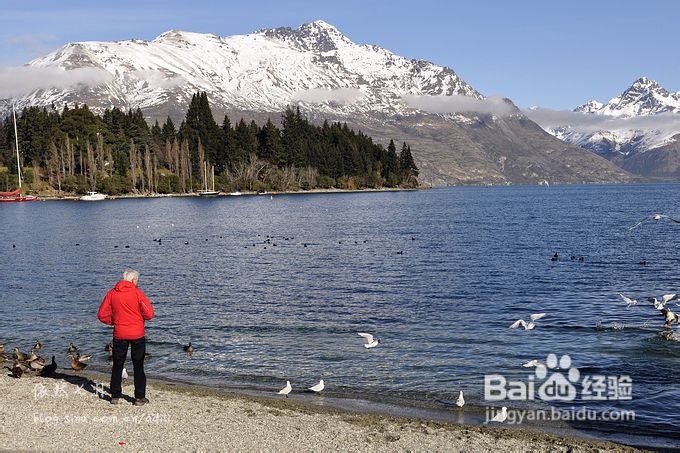 【新西兰皇后镇】南阿尔卑斯山怀抱中的童话世界:享受湖岸农庄下午茶