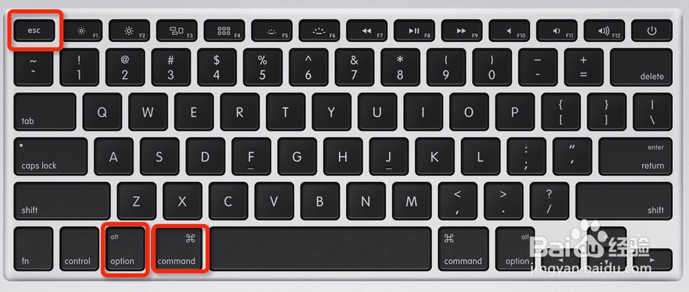 苹果Mac应用无响应，死机了怎么办