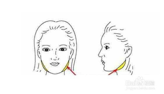 婴儿肥怎么瘦脸 婴儿肥怎么瘦脸简单最快方法