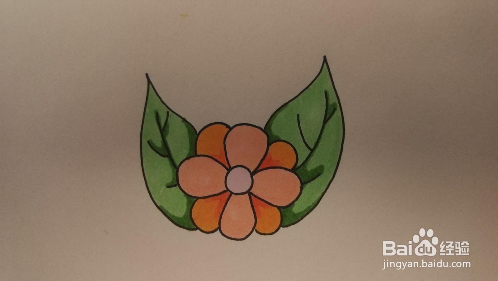 #经验分享官#花朵和叶子简笔画