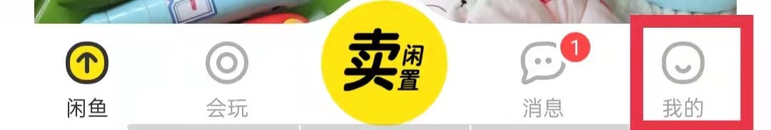 闲鱼怎么查看历史咨询进度