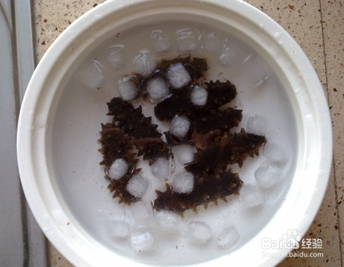 海参的吃法小常识，这四种吃法不可取