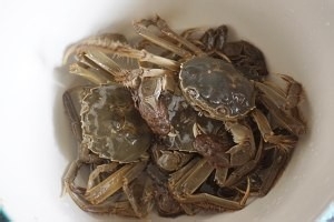 超级无敌美味香辣蟹