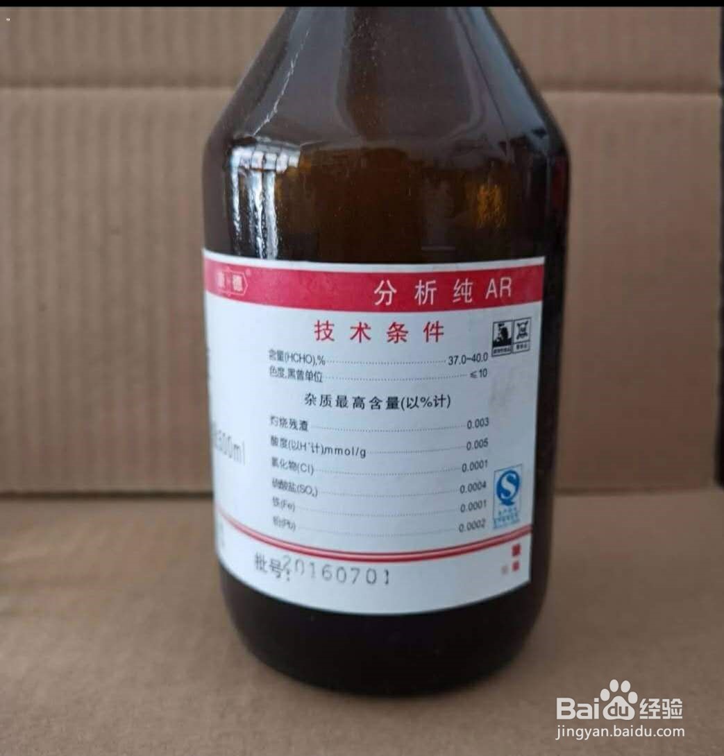 怎样保存树叶才不枯萎