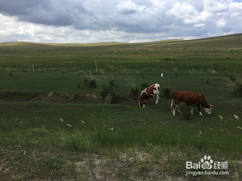 暑假内蒙七日游