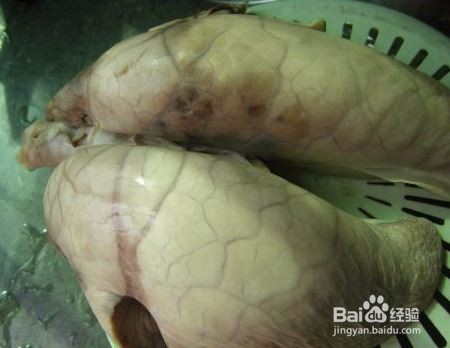 清肺汤的家常做法