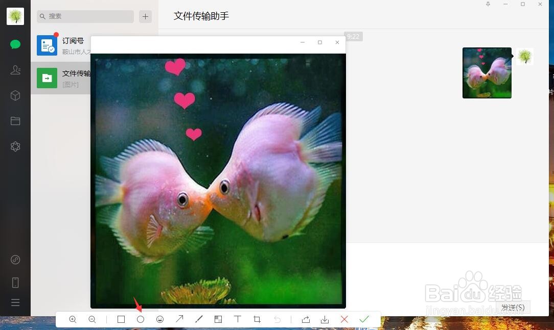 电脑微信如何对图片进行椭圆形标注