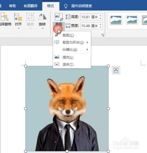 word如何裁剪照片？