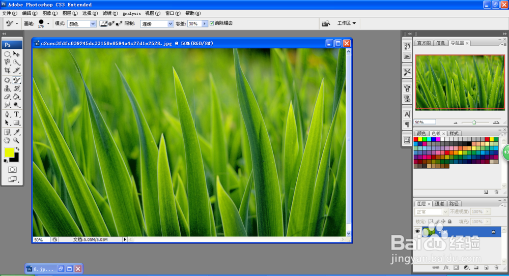 如何使用颜色替换工具改变图片