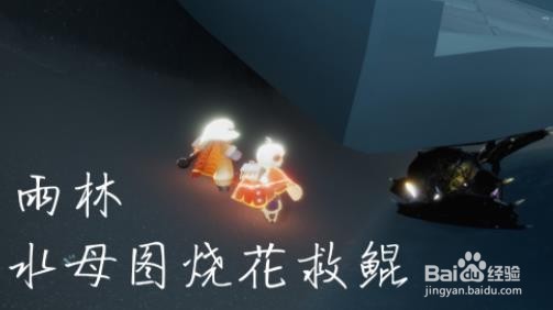 光遇1.10每日任务