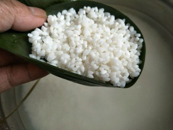 蜜枣粽和蛋黄粽